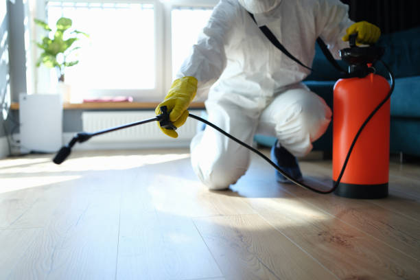 Trusted Sewage Cleanup service in DeLand, FL - Four Month Blood Cleanse